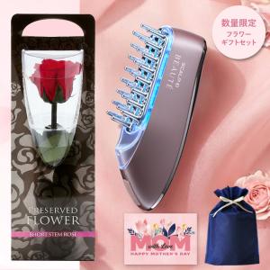 SALONIA（サロニア） EMS リフトブラシ 電気ブラシ 美顔器 電動頭皮