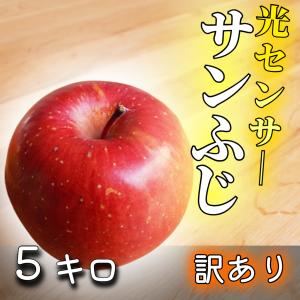 光センサー選果保証】 高糖度 青森県産 りんご サン ふじ 規格外 5kg 5