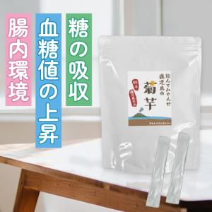 アポロ プリマシン ペンダント 男性用 グレー : プレマシャンティ