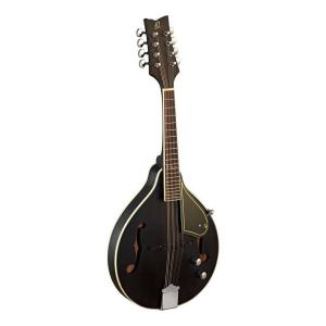ARIA アリア AM40 Fタイプのフラットマンドリン 初心者入門セット