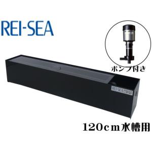 RF-120V 上部フィルター レイシー【メーカー直送商品】 : アクア