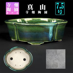 盆栽鉢 色鉢 緑釉外縁下紐楕円鉢 陶器 4号 12.5cm グリーン 小品盆栽