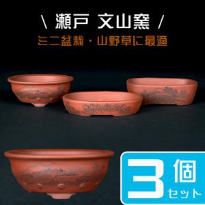 盆栽鉢 「瀬戸焼文山窯朱泥絵付鉢4点セット」 植木鉢 絵鉢 泥鉢 焼締 3