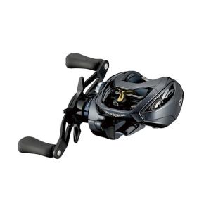 DAIWA（ダイワ） 24スティーズSV TW 100-XHL (左ハンドル） : KK