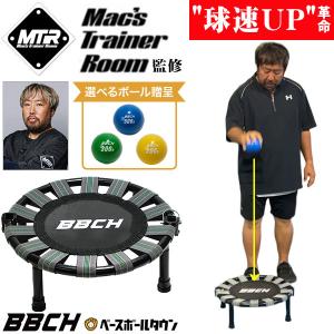 アイピーセレクト フレーチャ FLECHA 投球練習 トレーニング用品