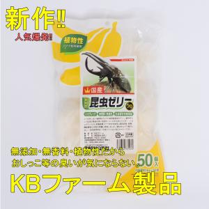 プロゼリー16g 1袋50個入 KBファーム 昆虫飼育 カブトムシ