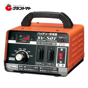 CELLSTAR（セルスター） バッテリー充電器 DP-2500 DP2500 DC12V DC24V