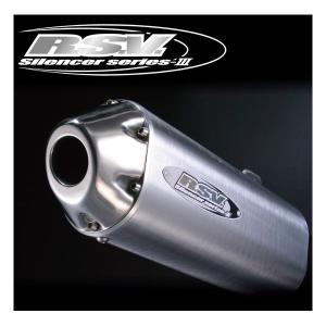 ラフ＆ロード R.S.V. RSV1101C 4stシリーズIII＋C サイレンサー (HONDA