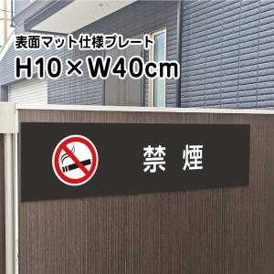 進入禁止 NO ENTRY プレート 看板『マットブラック』H10×W40cm