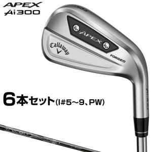 Callaway（キャロウェイ） APEX Ai300 アイアンセット 6本組（#5〜9
