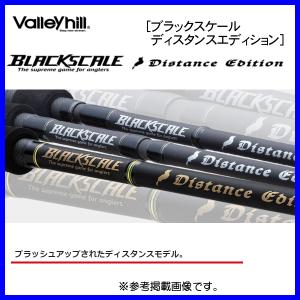 DAIWA（ダイワ） スティーズ SC 6111HSB ／バスロッド