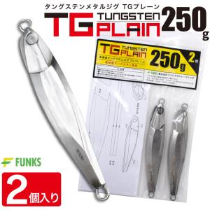 FUNKS TGプレーン 200g 2個 タングステン ジグ 未塗装 メタルジグ 無垢