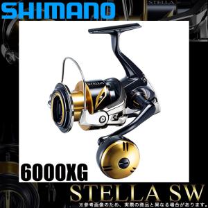 シマノ（SHIMANO） 20 ステラSW 6000HG (2020年追加モデル) スピニング