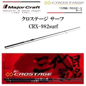 DAIWA（ダイワ） シーバスロッド シーバスフラットX 100M 23年モデル