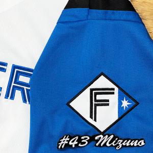 ☆送料無料☆北海道 日本ハム ファイターズ 日ハム 池田隆英 ネーム 白