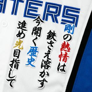 ☆送料無料☆阪神 タイガース 伊藤将司 シルエット 2 & サイン 刺繍