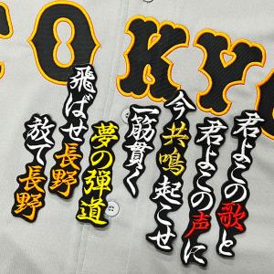 ☆送料無料☆読売 ジャイアンツ 巨人 大城卓三 背番号＆毛筆 応援 刺繍