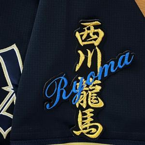 ☆送料無料☆東京 ヤクルト スワローズ 山田哲人 応援歌 黒布 刺繍