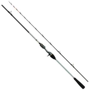 DAIWA（ダイワ） 極鋭ライトアジ 165 テク (船竿)【送料無料