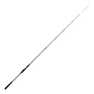 DAIWA（ダイワ） 極鋭 テンヤタチウオ 91H-161 (2025年 新製品) : 釣具