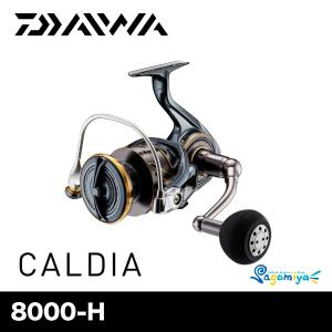 シマノ（SHIMANO） カルカッタコンクエストDC200 RIGHT : フィッシング