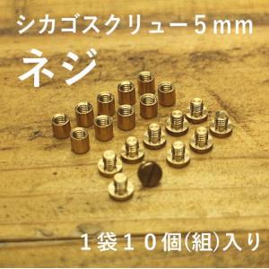 シカゴスクリュー 片ネジ式ビス 組ネジ 片ビス 帳ビス ブラス ネジ式