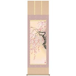 掛け軸 掛軸 桜 森山観月・桜花爛漫 尺五 花鳥画 春 桐箱 風鎮付き