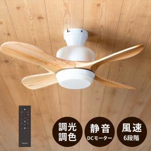 DOSHISHA（ドウシシャ） サーキュライト EZシリーズ スイングモデル