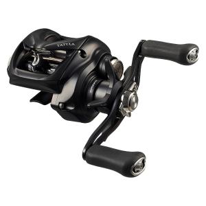 DAIWA（ダイワ） タトゥーラ TW 80L （2022年新製品） : つり具の銭屋