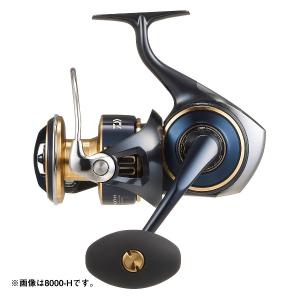 DAIWA（ダイワ） 20ソルティガ 14000-XH : フィッシング相模屋Yahoo!店