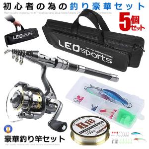 釣りセット 初心者 釣り竿セット 2.1m 炭素伸縮ロード スピニング