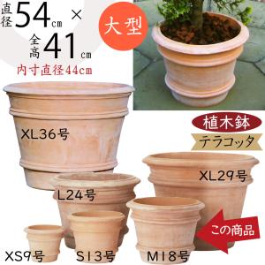 植木鉢 テラコッタ 大型 おしゃれ プランター 人気 おすすめ 観葉植物