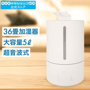 日立（HITACHI） HLF-Z5000 次亜塩素酸加湿器 ピュアクリエ PURECRIE