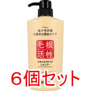 毛根活性 スキャルプクリアクールシャンプー 550ml : 安らぎ販売店小茶