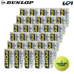 DUNLOP（ダンロップ） 『即日出荷』DUNLOP 「FORT フォート [2個入]1箱
