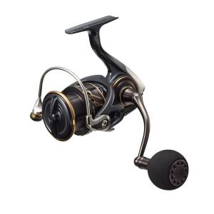 DAIWA（ダイワ） 22カルディア SW 4000D-CXH（CALDIA） : フィッシング