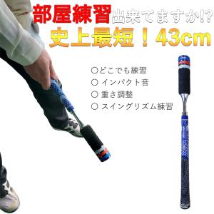 新製品 スイングモンスター 725 TYPE H ショートバージョン 練習器具