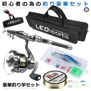 釣りセット 釣り道具 初心者 5点セット ロッド 収納バッグ ルアー