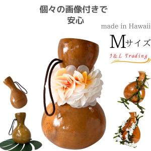 ハワイアン フラダンス 楽器 イプ ヘケ オレ 8インチタイプ (Mサイズ