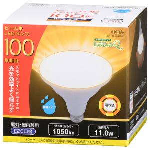 Panasonic（パナソニック） ハイビーム電球 散光形（フラッド