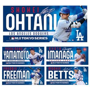 新品 WBC2023 選手フェイスタオル16大谷翔平 wbc色 レインボー 正規品