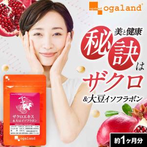 ☆新品 スリムビューティハウス エンザイム フローラ 発酵 エステ