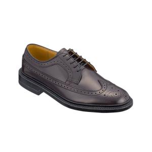 REGAL（リーガル） 靴 メンズ ビジネスシューズ 2589N 本革 ウイング