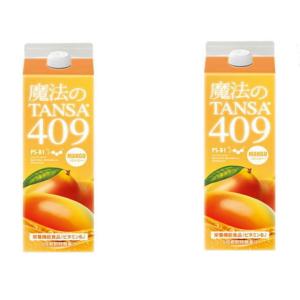 魔法のTANSA タンサ ベリー 409 1000ml 青山すこやか本舗 腸活 短鎖