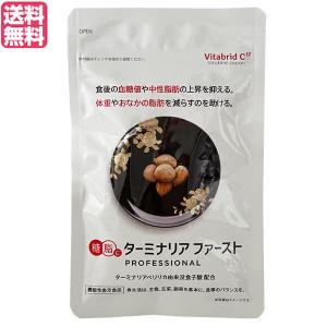 3袋セット 】 ターミナリアファースト プロフェッショナル4