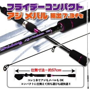 ダイワ ロングビーム T LONGBEAM 30-425 (投竿 投げ竿)【送料無料