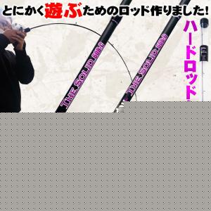 テイルウォーク ソルティシェイプダッシュ ティップラン510ML/SL