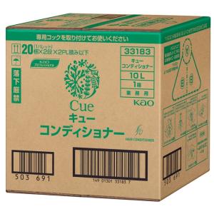 Kao（花王） キュー シャンプー 10L 業務用 専用詰替容器2本付
