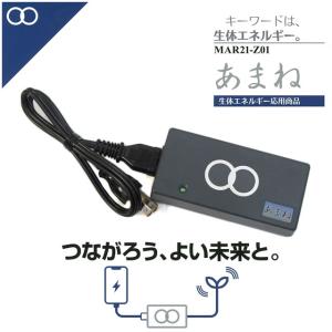 電気誘導翻訳マルチタップ 命慧 生体エネルギー : Manai - 通販