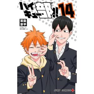 ハイキュー！！ コミック 1-45巻セット ハイキュー全巻セット : メル